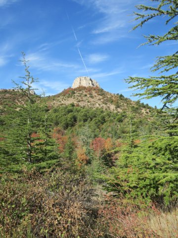 7767 tour cauvin-7767